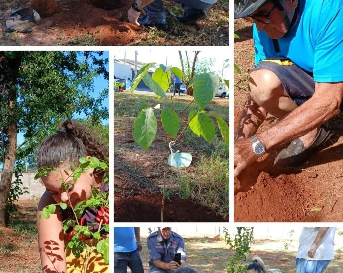 AÇÃO AMBIENTAL EM CASTILHO: 47 MUDAS TRANSFORMAM BAIRRO