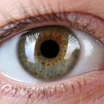 Campanha Abril Marrom Destaca Importância da Prevenção da Cegueira