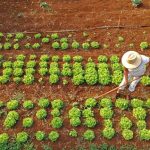 Agraer Amplia Acesso ao Crédito Rural para Agricultores Familiares