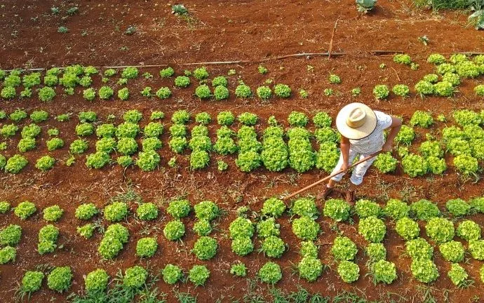 Agraer Amplia Acesso ao Crédito Rural para Agricultores Familiares