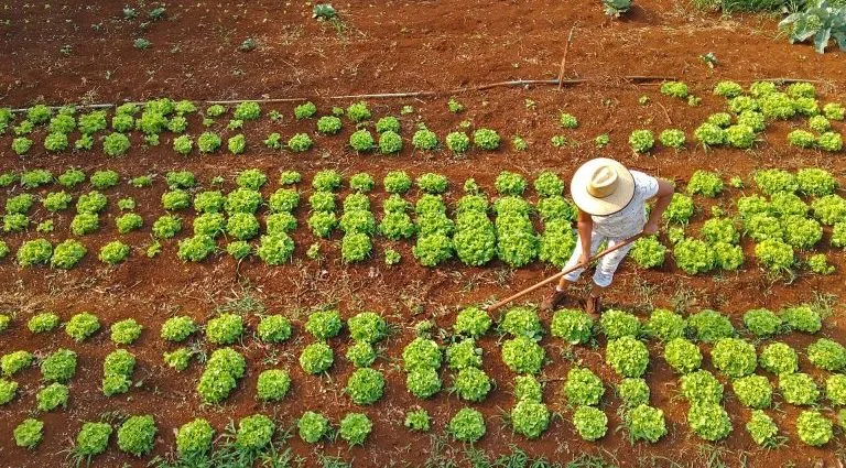 Agraer Amplia Acesso ao Crédito Rural para Agricultores Familiares Agraer Amplia Acesso ao Crédito Rural para Agricultores Familiares