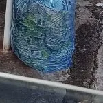 SACO AZUL: ORIENTAÇÕES PARA COLETA SELETIVA EM CASTILHO