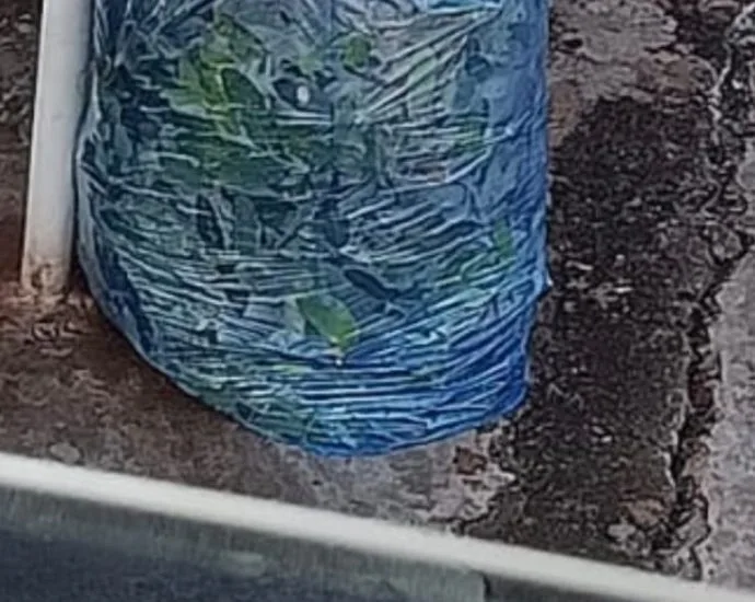SACO AZUL: ORIENTAÇÕES PARA COLETA SELETIVA EM CASTILHO