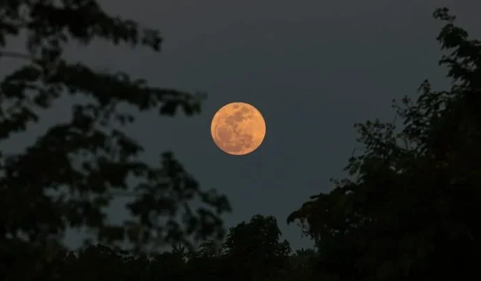 Lua Cheia das Flores será visível em 1º de maio; descubra seu significado