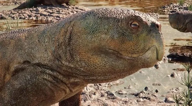 Descoberta de Réptil com Bico de Papagaio no Rio Grande do Sul
