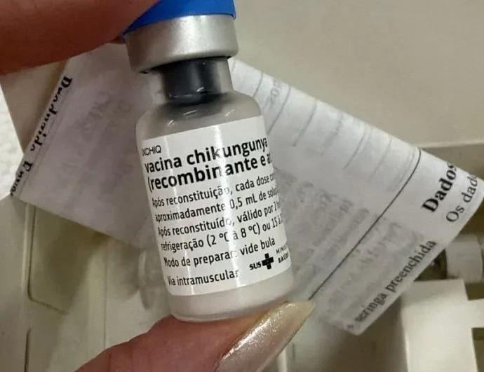 Mato Grosso do Sul inicia vacinação contra chikungunya em Dourados e Itaporã Mato Grosso do Sul inicia vacinação contra chikungunya em Dourados e Itaporã