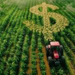 Crédito Rural Empresarial Alcança R$ 404 Bilhões no Plano Safra 2025/2026