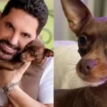 Cachorro do sertanejo Edson é encontrado morto após uma semana desaparecido