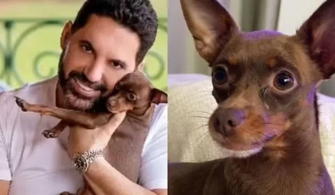 Cachorro do sertanejo Edson é encontrado morto após uma semana desaparecido