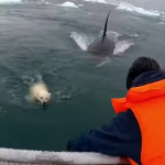 Pinterest: A Nova Obsessão Digital