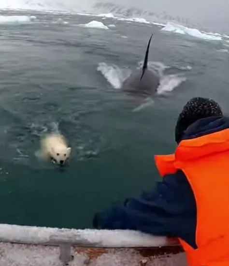 Pinterest: A Nova Obsessão Digital