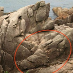 Pinterest: Uma Plataforma Inconfundível e Inovadora