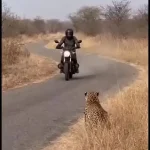 Pinterest Lança Modo Inspiração para Usuários