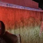 Polícia Militar Ambiental intensifica vigilância sobre felinos em Corumbá