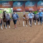 Delegação Brasileira Leva 76 Cavalos Crioulos para FICCC no Uruguai