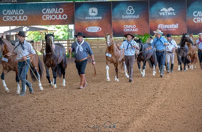 Delegação Brasileira Leva 76 Cavalos Crioulos para FICCC no Uruguai