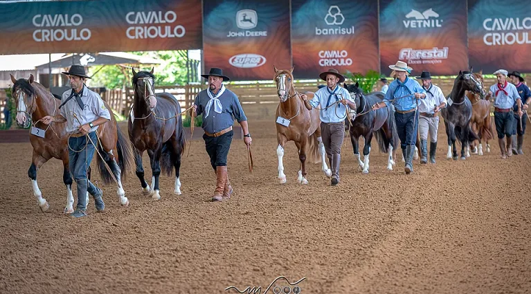 Delegação Brasileira Leva 76 Cavalos Crioulos para FICCC no Uruguai