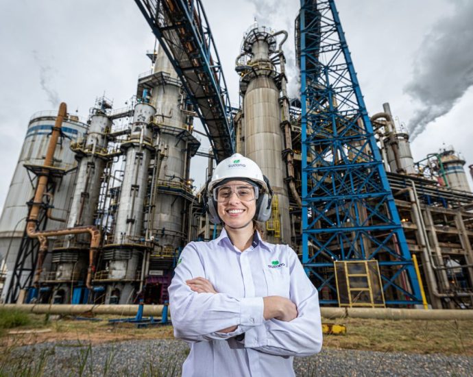 Suzano abre novas vagas de emprego em Três Lagoas; saiba como se inscrever