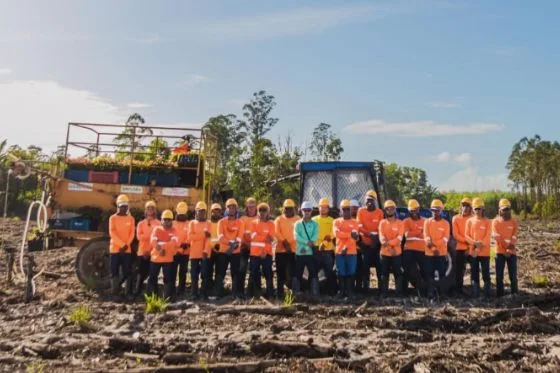 Emflora abre vagas de emprego em Três Lagoas para Motorista e Encarregado; saiba como se candidatar