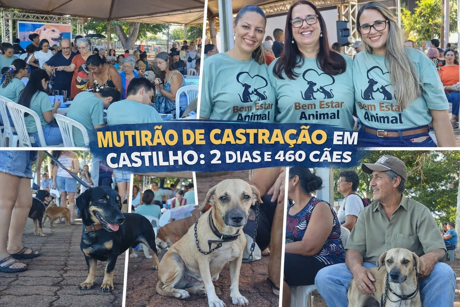 MUTIRÃO DE CASTRAÇÃO EM CASTILHO 2 DIAS E 460 CÃES