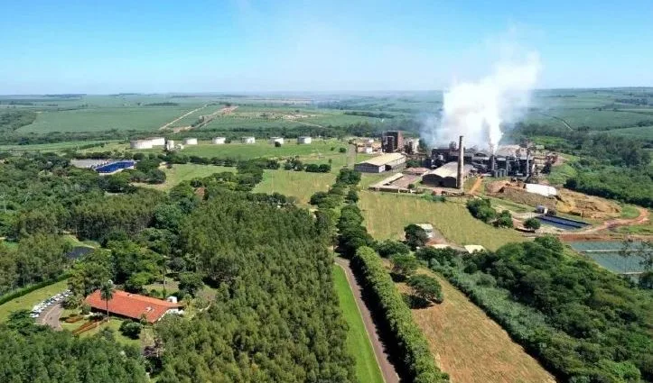 Usina São Domingos abre diversas vagas de emprego em Catanduva; veja como se candidatar