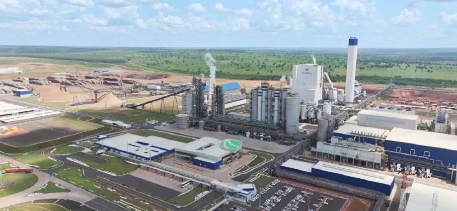 Suzano MS 2026: Novas Vagas Abertas em Três Lagoas, Ribas e Brasilândia Suzano MS 2026: Novas Vagas Abertas em Três Lagoas, Ribas e Brasilândia