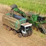 Clealco Expande Oportunidades de Emprego em Clementina e Queiroz