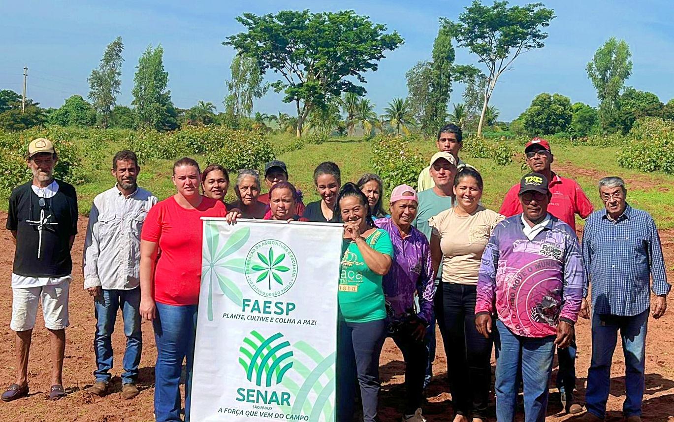 Parcerias de peso fortalecem a produção orgânica em Castilho (SP)