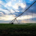 Inovação no Agronegócio: IoT e Inteligência Artificial Para Irrigação Eficiente