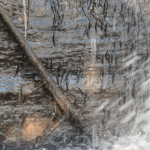 Peixes surpreendem ao escalar cachoeira na República Democrática do Congo