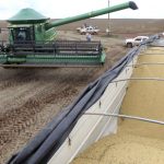 Parceria entre BRANDT, MyCarbon e Banco do Brasil Facilita Acesso a Crédito Rural e Créditos de Carbono