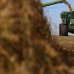 Início da Colheita de Soja na Argentina Apresenta Lavouras em Boas Condições