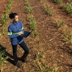 Tereos Abre Mais de 100 Vagas para o Programa de Estágio Jovens Talentos