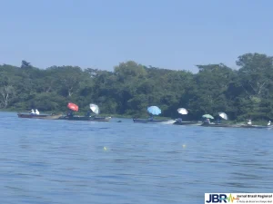 Veja as fotos do torneio de pesca em Castilho