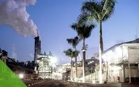 Vagas de emprego na Usina Ipê: Confira os cargos e link de inscrição da Pedra Agroindustrial