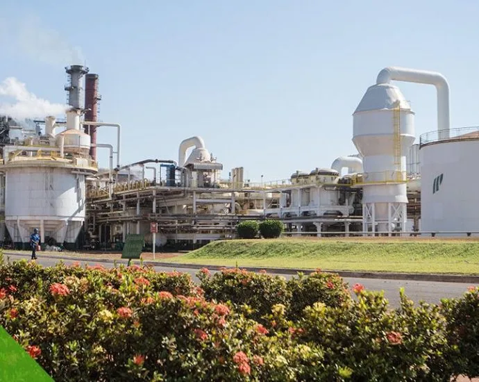 Pedra Agroindustrial abre vagas para Programa de Aprendiz na Usina Ipê em Nova Independência