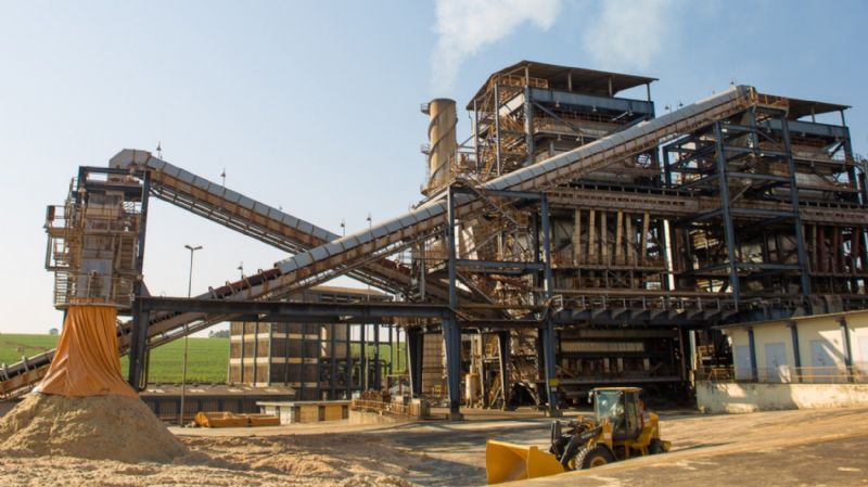 Usina Santa Adélia Abre Diversas Vagas de Emprego em Pereira Barreto e Jaboticabal