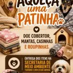 Campanha 'Aqueça uma Patinha' Mobiliza Castilho em Prol dos Animais no Inverno