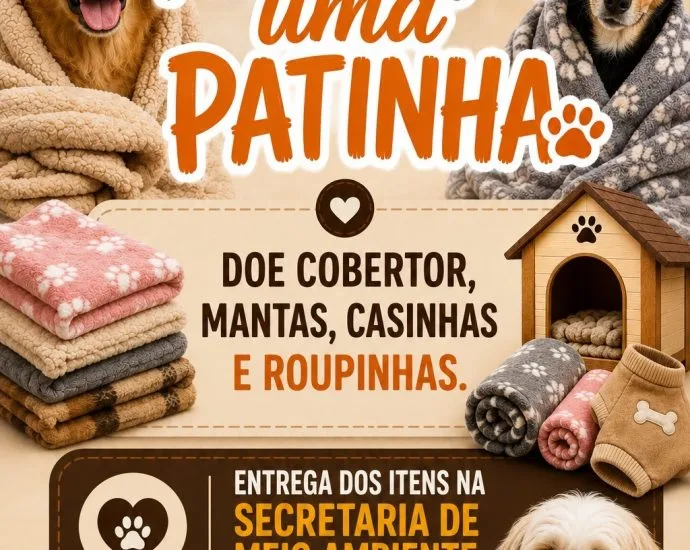 Campanha 'Aqueça uma Patinha' Mobiliza Castilho em Prol dos Animais no Inverno