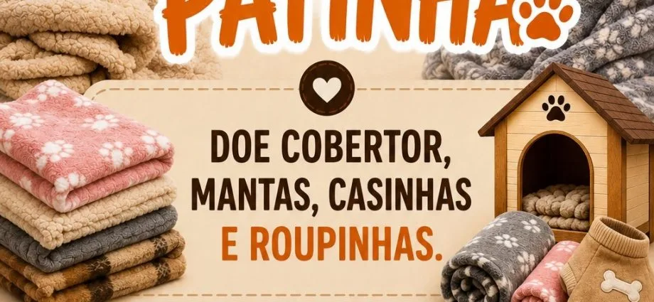 Campanha 'Aqueça uma Patinha' Mobiliza Castilho em Prol dos Animais no Inverno