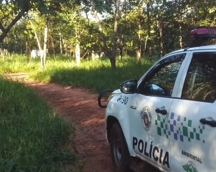 MULTA AMBIENTAL DE R$ 13 MIL REACENDE DEBATE SOBRE REALIDADE DOS PEQUENOS PRODUTORES RURAIS MULTA AMBIENTAL DE R$ 13 MIL REACENDE DEBATE SOBRE REALIDADE DOS PEQUENOS PRODUTORES RURAIS