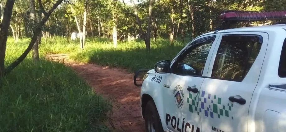 MULTA AMBIENTAL DE R$ 13 MIL REACENDE DEBATE SOBRE REALIDADE DOS PEQUENOS PRODUTORES RURAIS