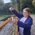 Pesquisa da UFSC investiga uso de algas para recuperar lagos em Florianópolis