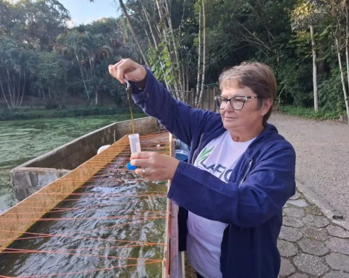 Pesquisa da UFSC investiga uso de algas para recuperar lagos em Florianópolis