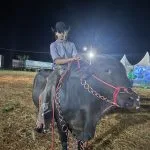 VÍDEO: Público começa a se concentrar na entrada da Festa do Peão em Castilho 2026