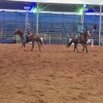 Vídeo: Provas dos Três Tambores movimentam a tarde do terceiro dia da Festa do Peão em Castilho 2026