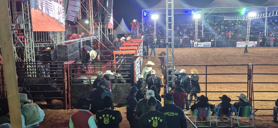 VÍDEO: Touros já são preparados para o início do rodeio no último dia da festa