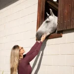DA ROUPA AO LIFESTYLE: COMO A DLK APOSTA EM MARKETING EXPERIENCIAL