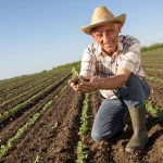 Dia do Trabalhador Rural destaca a evolução do setor no Brasil