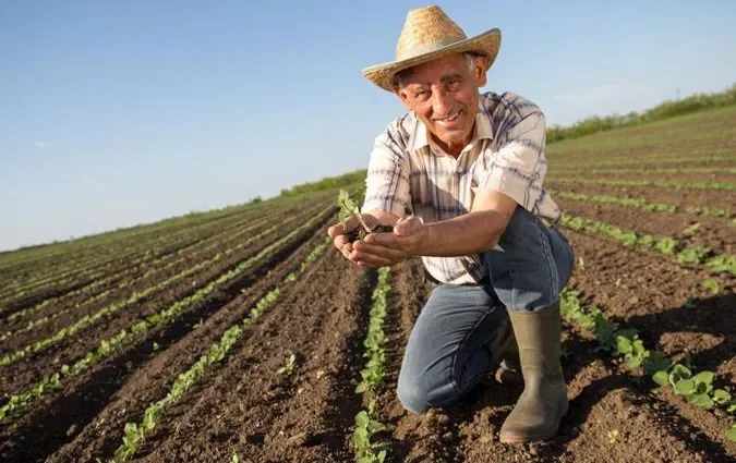 Dia do Trabalhador Rural destaca a evolução do setor no Brasil